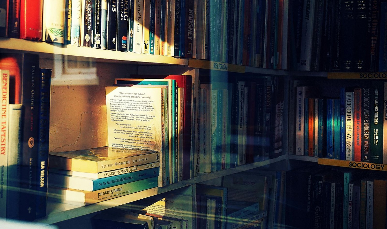Sunlit bookshelf filled with an assortment of books in a cozy library setting. Perfect for literature lovers. 7 Best Books for Self-Help That Work